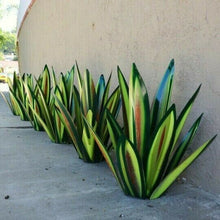 Load image into Gallery viewer, Anti-rust Metal Tequila Agave Plant
