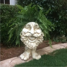 Load image into Gallery viewer, SheremArt Joy Planter
